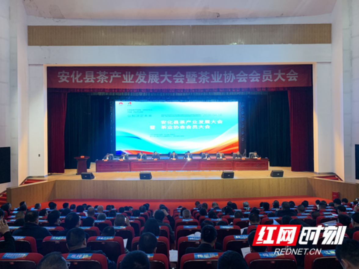 一片叶子富一方百姓，安化茶产业迈向高质量发展新征程