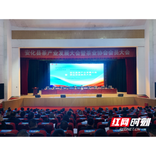 一片叶子富一方百姓，安化茶产业迈向高质量发展新征程