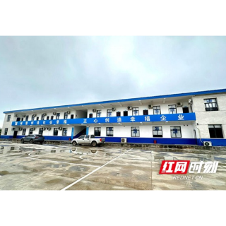 闲置校舍“变形记”！赫山区羊角村以小投入盘活沉睡资产