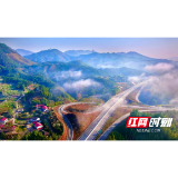 龙塘伴潮涌②丨山乡耕耘不言苦 一树繁花结甜果