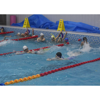 益阳游泳健儿奋力备战省运会