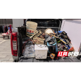 跨区域电鱼“零容忍”!桃江连夜查获一起非法捕捞案