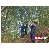 以“早”当先 赫山区衡龙桥镇筑牢汛期安全底线