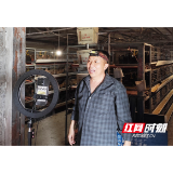 桃江：田埂连上直播间 手机变成新农具