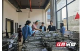 赫山税务：上门精准服务 辅导助企发展