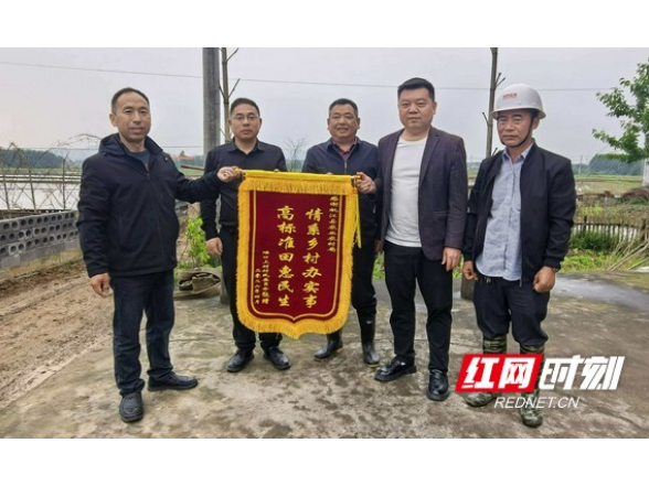桃江：优化高标准农田建设方案 办好惠民实事获群众点赞