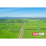 乡音绕田园 最美泉交河 千年水乡焕发时代新活力