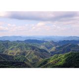 五龙山料 非遗手筑——大师庄园·丙午茯茶
