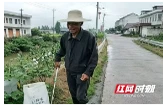 退岗不褪色，余热映初心！兰溪镇退休老支书成为村里“一号保洁员”