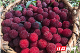 桃江县灰山港镇：微阵地释放大能量 小平台托起幸福感