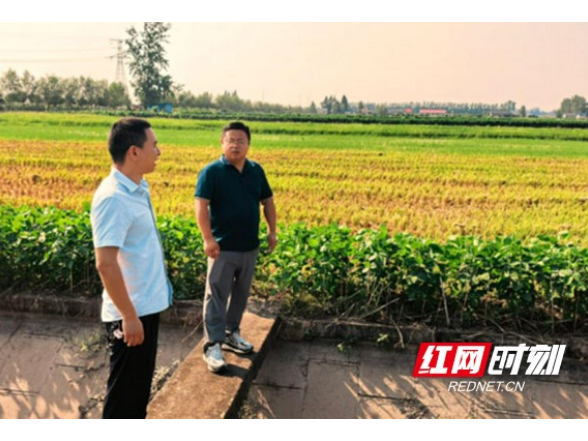大通湖区河坝镇开展高标准农田专项督查