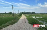 大通湖区利厚村：  砂石便道提质改造 铺就农业生产“便民路”