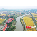 先锋闪耀丨党建领航绘新卷 书香清溪焕生机