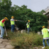 税务青年志愿服务者邀您“‘河’我一起 守护母亲河”