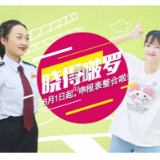 晓得啵罗| 8月1日起，申报表整合啦！