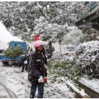 大雪纷飞中，这些场景温暖人心！