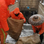 组图丨不惧风雪，无问西东！他们成了冬日最美“雪景”