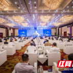 一江两岸百舸争流！50余家百强房企“盯”上宁乡