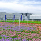 湖南长沙县：聚力打造文旅融合样板区