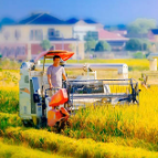 长沙县：踔厉奋发担使命 勇毅前行向未来