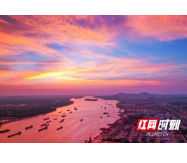 海报丨“金”十年 “霞”万丈