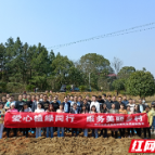 爱心植绿同行 服务美丽乡村增添“税动力”