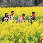 组图丨满目金黄香百里，宁乡的春天很“油菜花”
