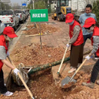 雨花税务：厚植绿色期望 共建美丽家园