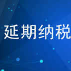 落实延缓缴纳税款政策  为企业发展注入税务力量