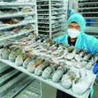 【中国商务新闻网】敢为天下湘,跨境电商尽显长沙力量