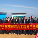 税、镇、村结对以党建共建促推精诚共治