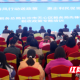 天心税务：税惠政策送上门，精准服务办实事