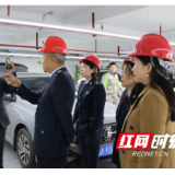 人大代表话税收:春意“申”生不息共赢“湘”见未来