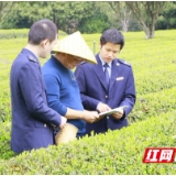 芙蓉税务：三月学雷锋 税收服务进茶园