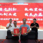 党建引领聚合力 结对共建促振兴