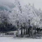 应对低温雨雪冰冻灾害 长沙市教育局发布紧急通知