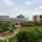 长沙师范学院举办“幼儿深度学习支持”线上公益研讨会