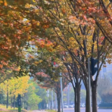 叮咚！向您隔空投送一大波初冬美景