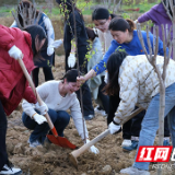 小雨花为绿充“植” 共“树”未来