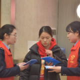 雨花税务：春风又绿江南岸 雨税同心向绿行