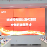 望城税务：专场辅导助力重点企业向新而进