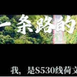 视频 | 别错过这条 “会动的风景画”！