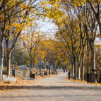 出片率100%！金霞初冬限定景色藏不住了