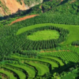 聚焦涉农重点发票 筑牢税收风险防线 浏阳税务“查服并举”规范行业健康发展