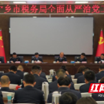 宁乡市税务局召开2025年全面从严治党工作会议