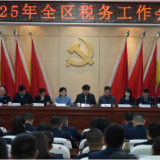 望城区税务局召开2025年税务工作会议 书写中国式现代化实践新答卷