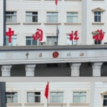 强基在一线③|三线并行助力企业走好合规经营路