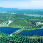 助推生猪产业高质量发展 宁乡这个项目顺利竣工移交