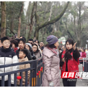 视频 | 岳麓山的温暖年味里，藏着这群人的守护