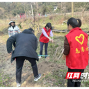 植绿护绿践初心 税青同行展担当